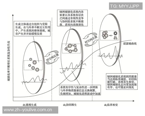 足球明星身价与薪酬的关系探讨及其对职业生涯的影响分析